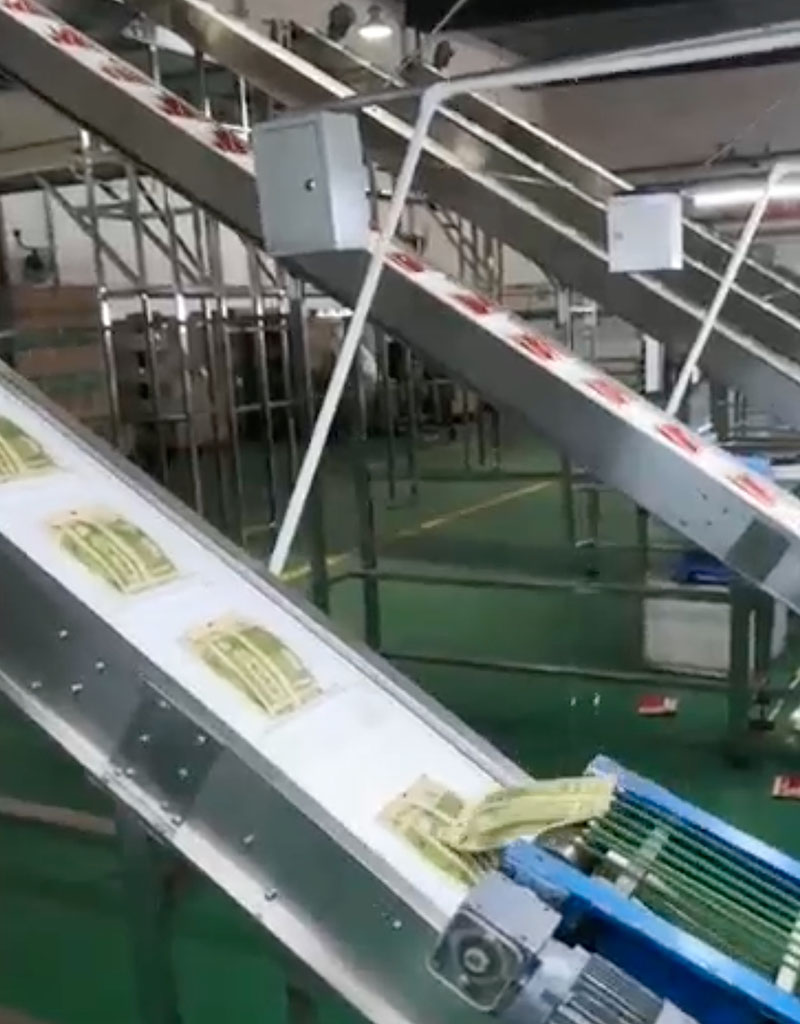 洽洽食品 車間整體網帶輸送線