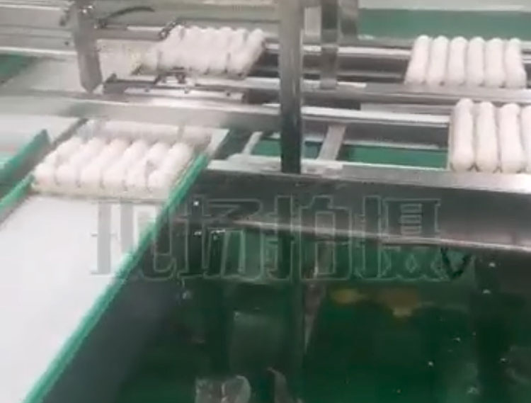 生物疫苗雞蛋檢測提取輸送線